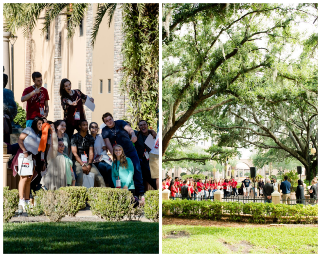 Review Southeastern university image 240372