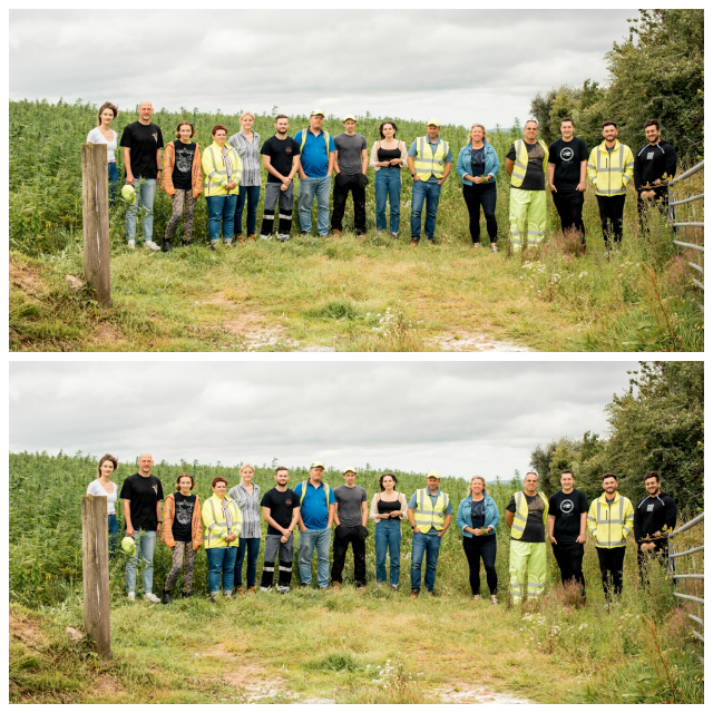 Review Braham & Murray ltd (GOOD HEMP) image 167195
