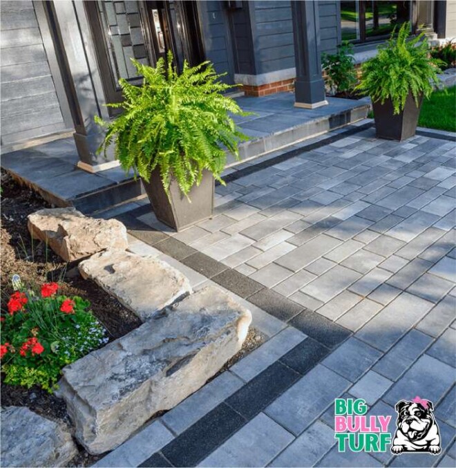 Review Big Bully Turf image 357087
