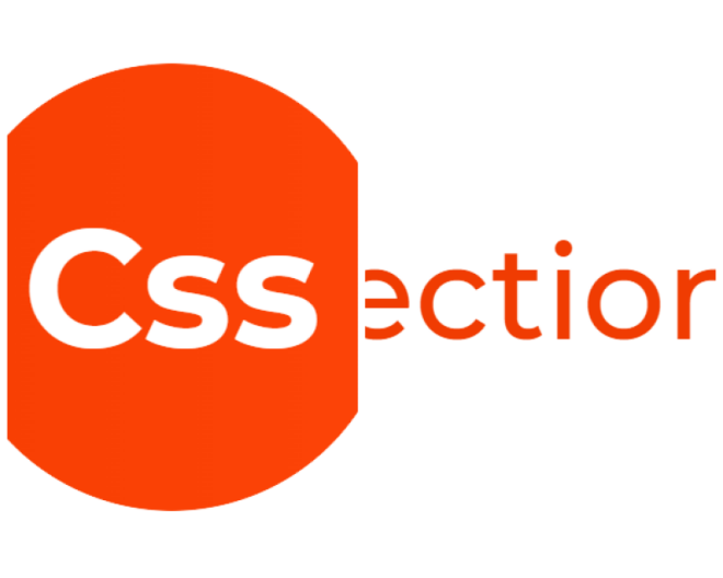 Review CSS - Connection Soft Service image 124868