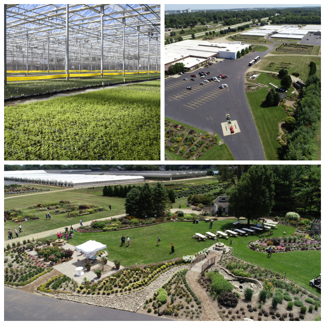 Review Walters gardens, inc. image 263523