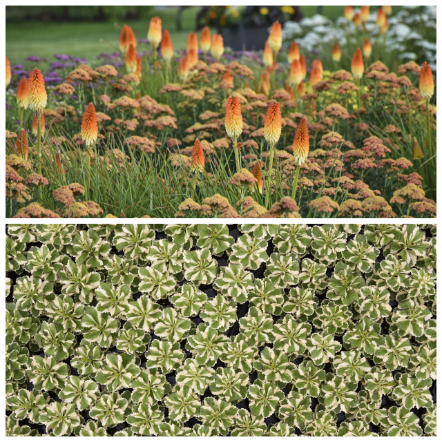 Review Walters gardens, inc. image 263524