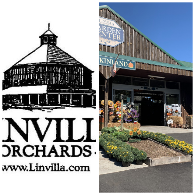 Review Linvilla Orchards image 115400