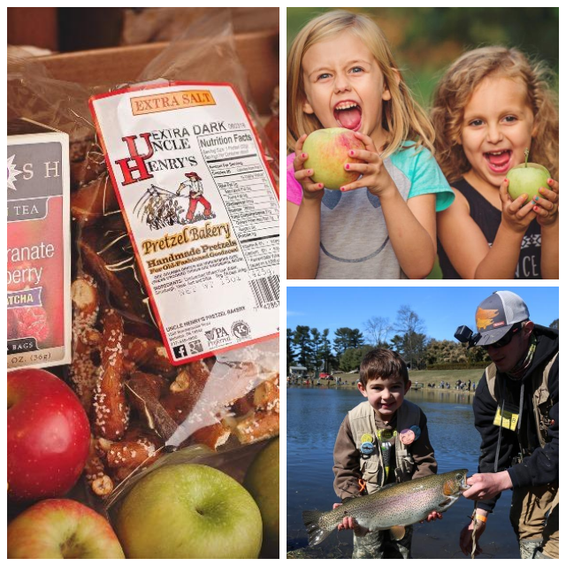 Review Linvilla Orchards image 115401