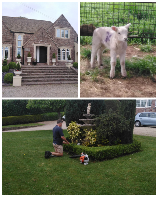 Review P&M Garden Services image 34260