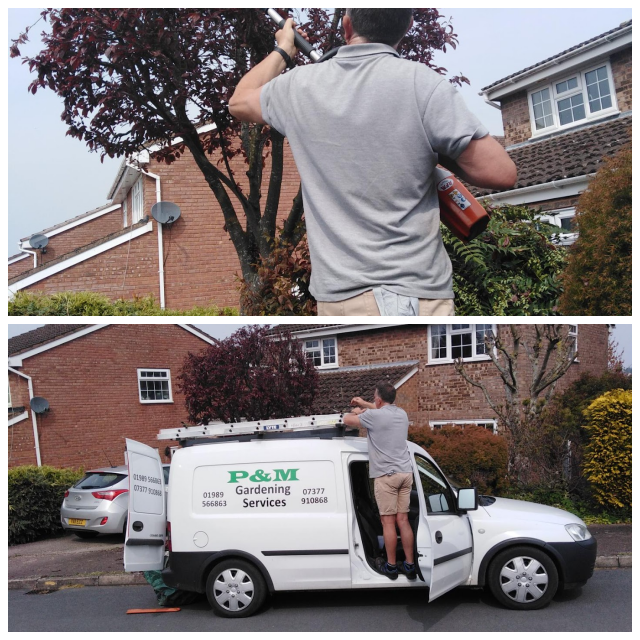 Review P&M Garden Services image 34262
