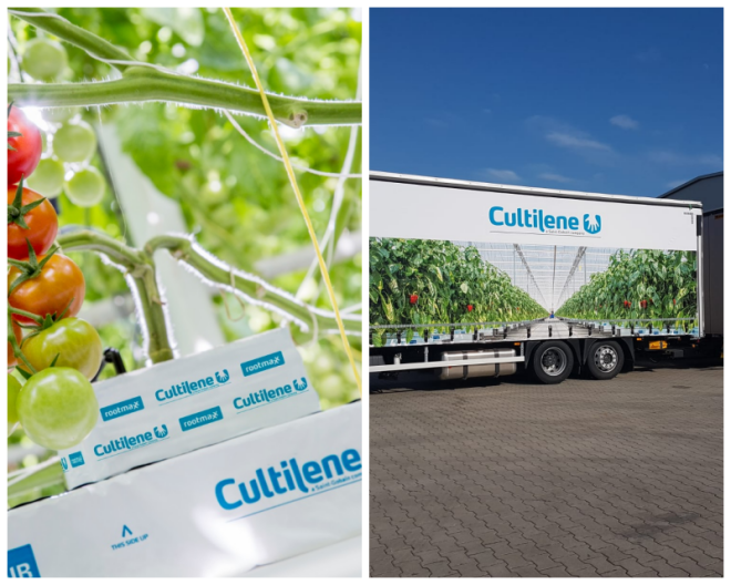 Review Saint-Gobain Cultilene image 238393