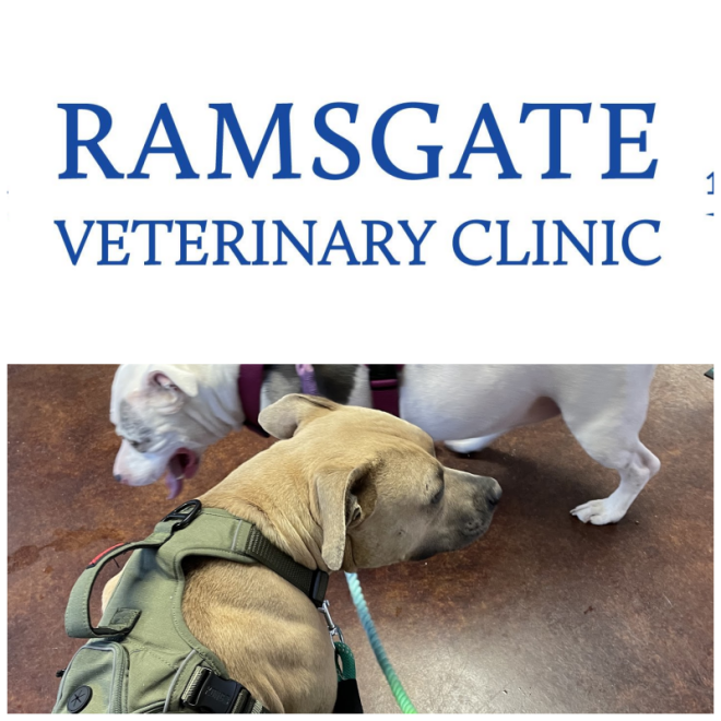 Review Ramsgate veterinary clinic image 342857