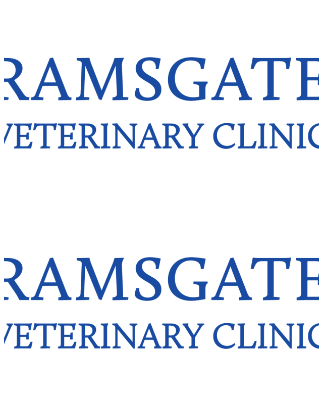 Review Ramsgate veterinary clinic image 342858
