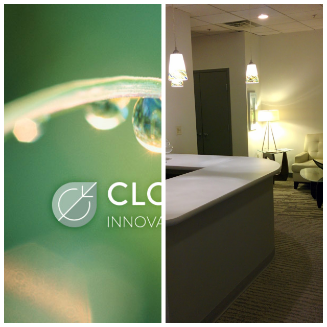 Review Clover leaf solutions inc. image 252303