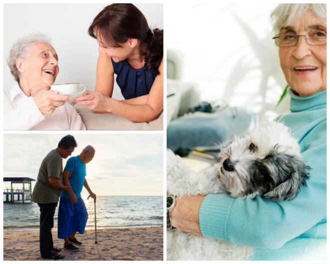 Review Optimal senior care solutions image 332008