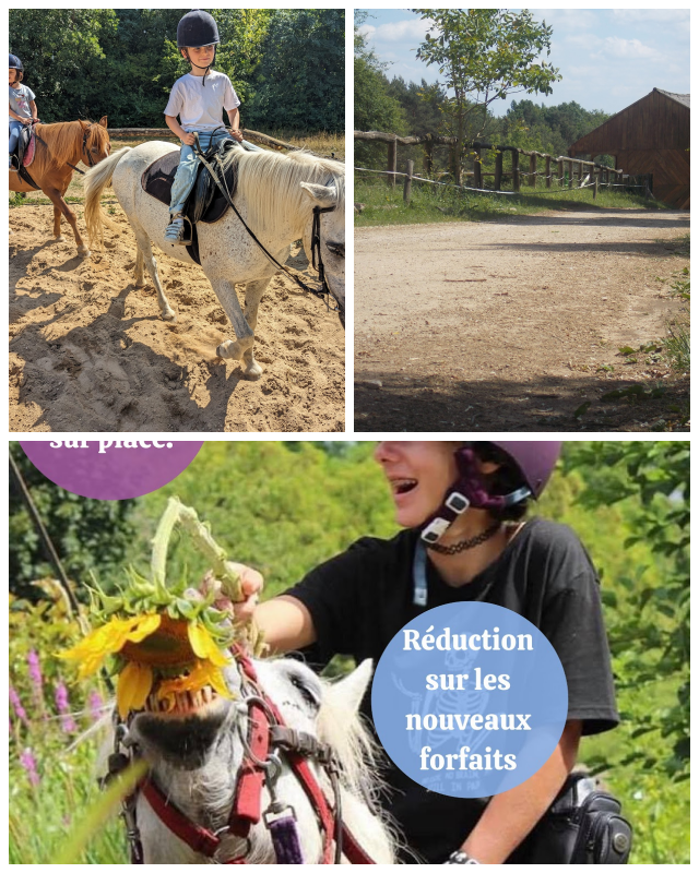 Review Théatre Equestre de Montillot image 81056