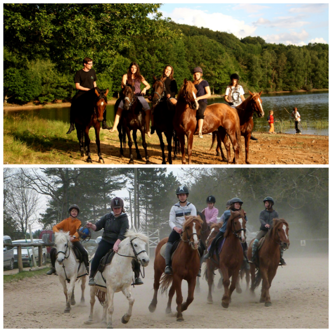 Review Théatre Equestre de Montillot image 81058