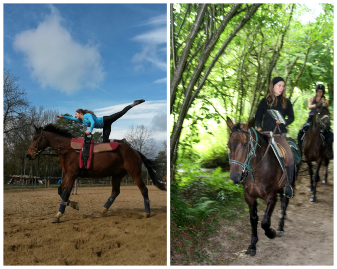 Review Théatre Equestre de Montillot image 81059
