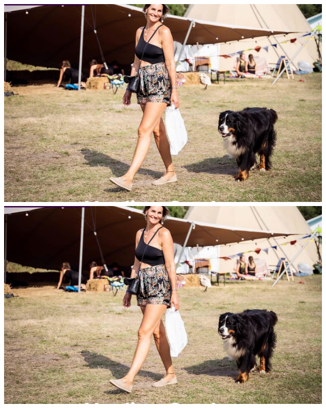Review Hawaii Healing Garden Statewide Festivals image 114997