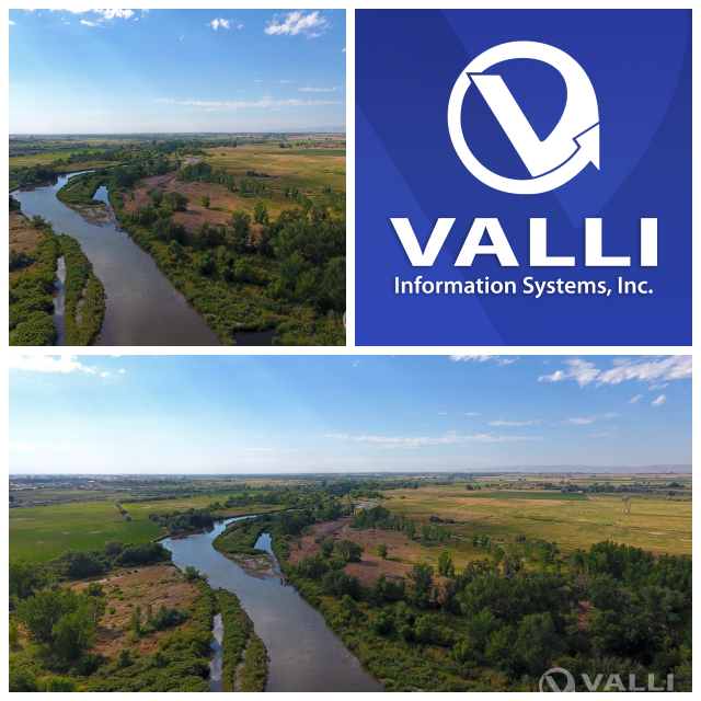 Review Valli Information Systems image 45096