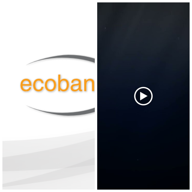 Review Ecoband Networks image 234182