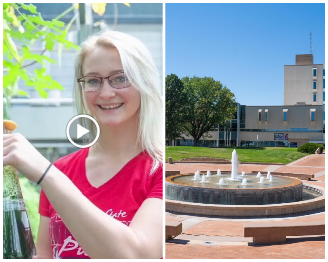 Review Colorado state university-pueblo image 240349