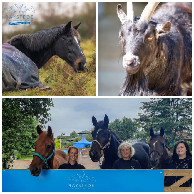 Review Raystede Centre for Animal Welfare image 200934