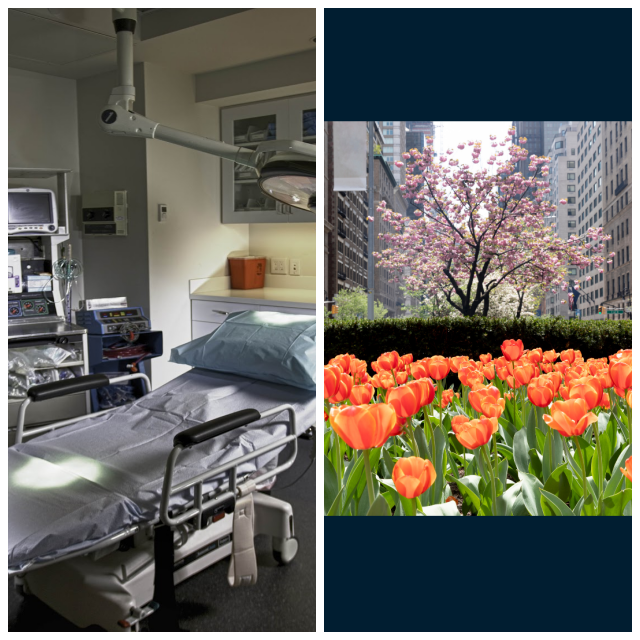 Review Robert a. guida, m.d, p.c. image 276354