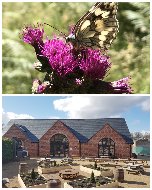 Review Stansted Park Farm Shop image 211088
