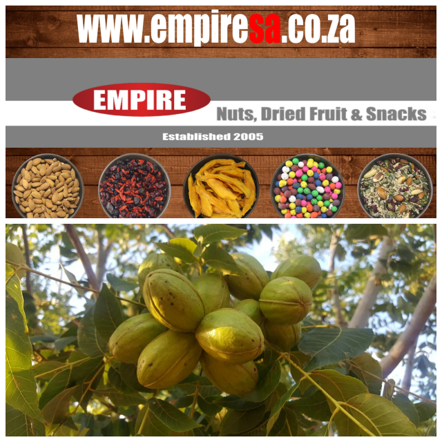 Review Empirestate Trading Pty Ltd image 34761