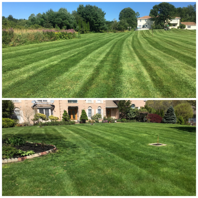 Review Kahn Landscaping LLC image 31664