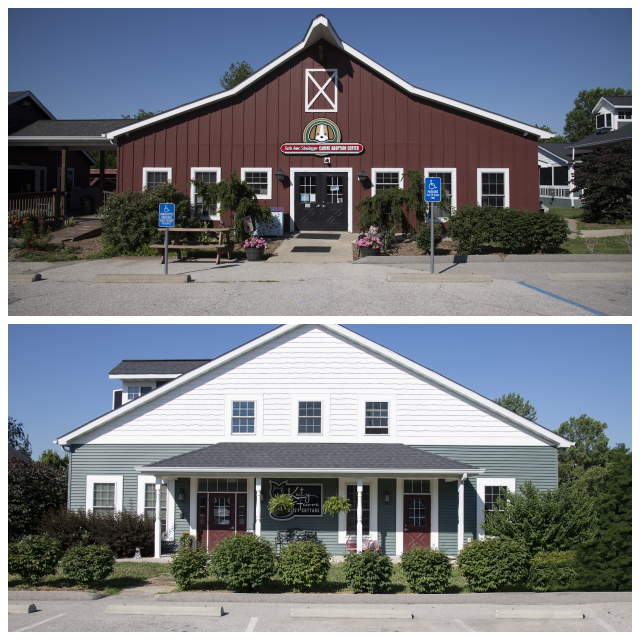 Review Five Acres Animal Shelter image 22430