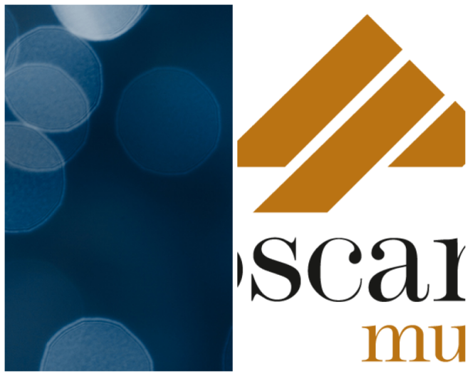 Review TOSCANO MUTUI SRL image 164194