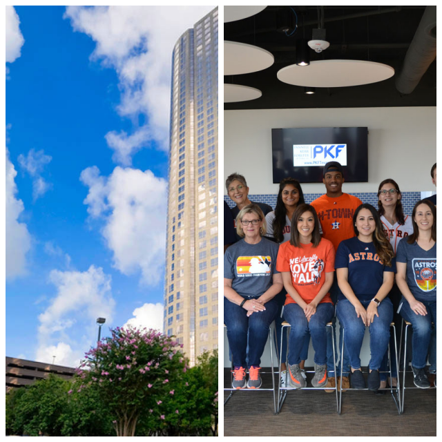 Review Pkf texas image 247946