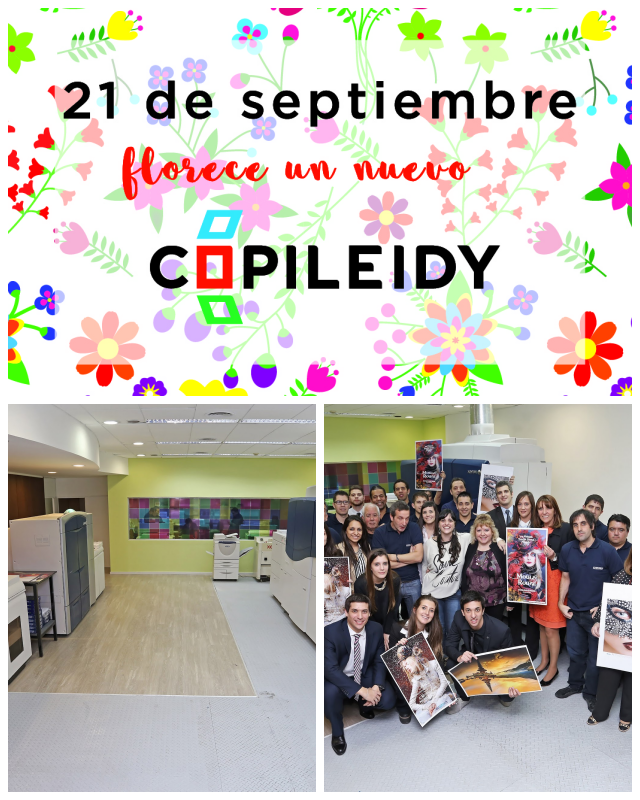 Review COPILEIDY SGI S.R.L. image 131205