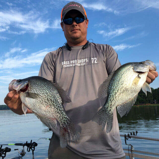 Review Lake Oconee Fishing Guides image 358654