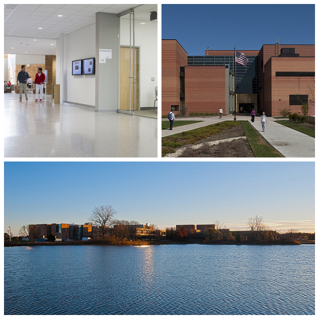 Review College of lake county image 239864