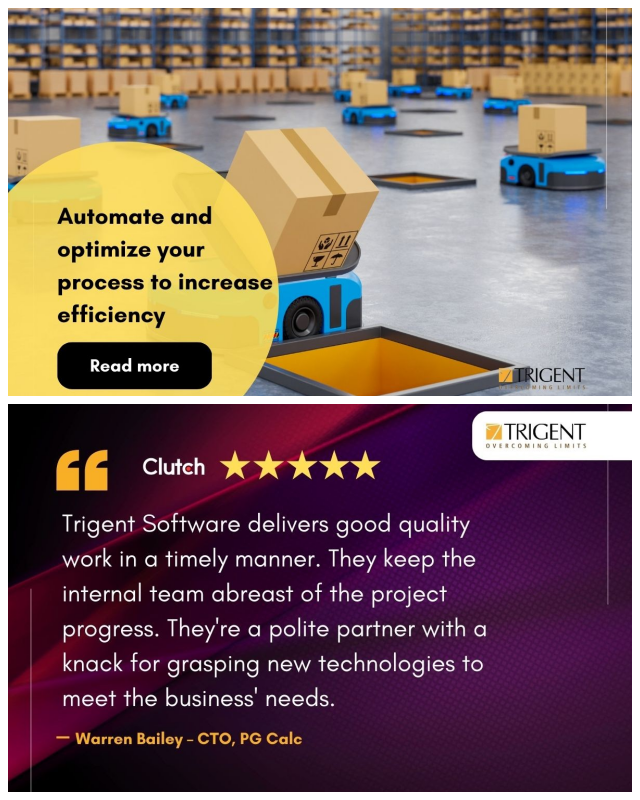 Review Trigent Software Ltd image 33264
