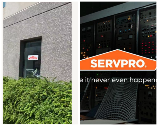 Review Servpro of west loop/ bucktown/ greektown image 352817