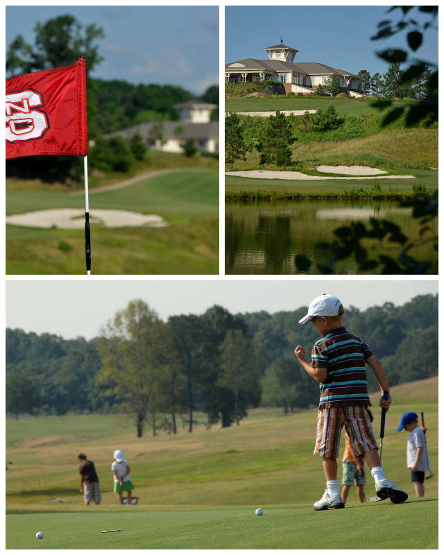 Review Lonnie Poole Golf Course image 80618