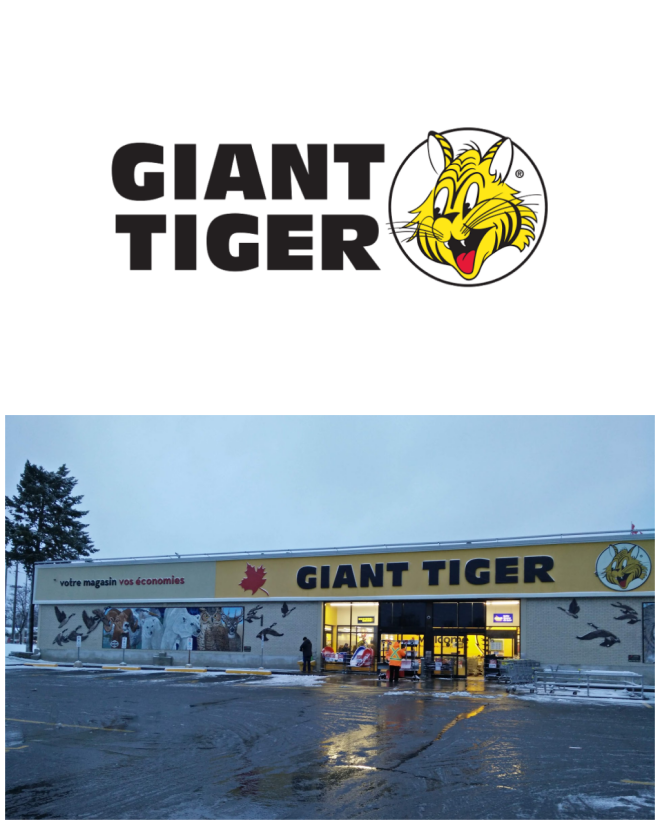 Review Giant Tiger image 4725