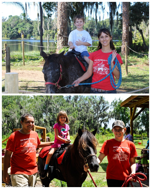 Review Old mcmicky's farm image 331100