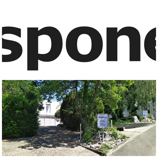 Review Gsponer Consulting Group image 41938