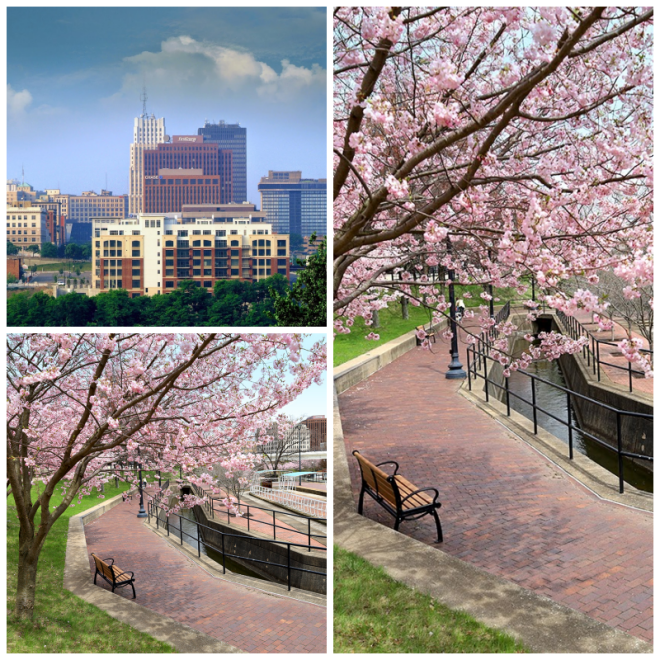Review Downtown Akron Partnership image 16455