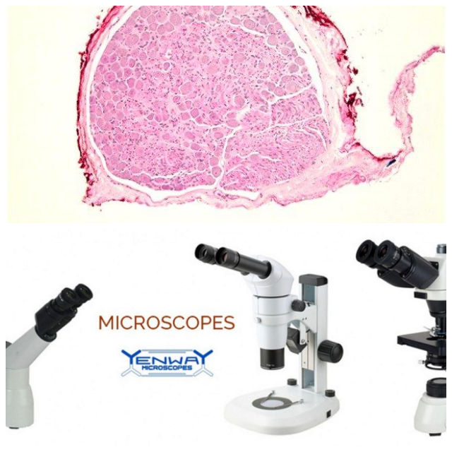 Review MicroPix Technologies Ltd image 215513