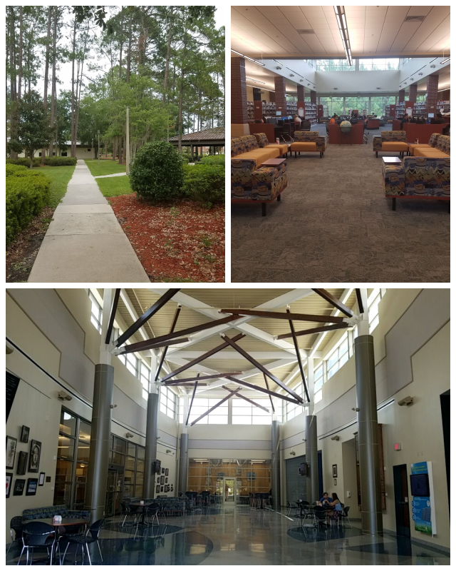 Review Florida gateway college image 244846