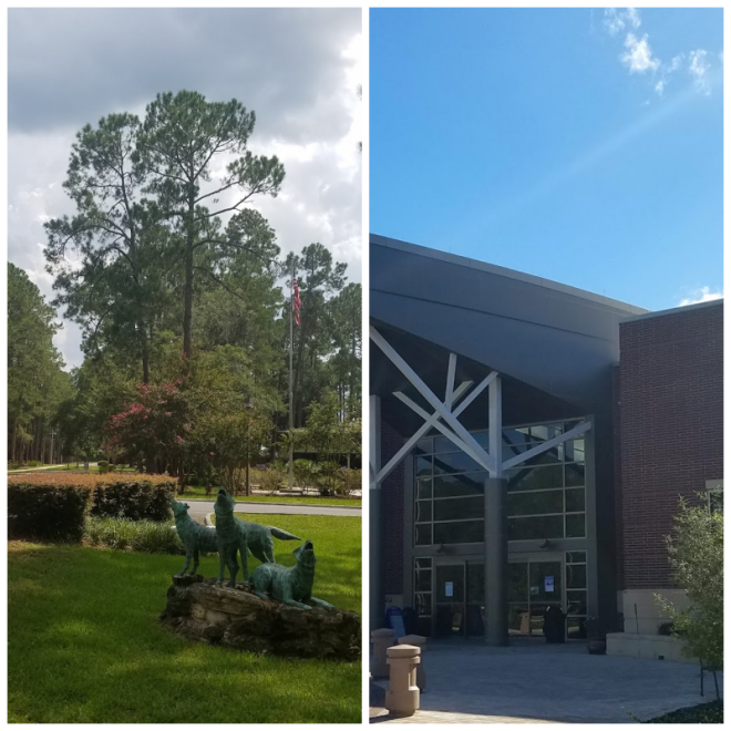 Review Florida gateway college image 244847