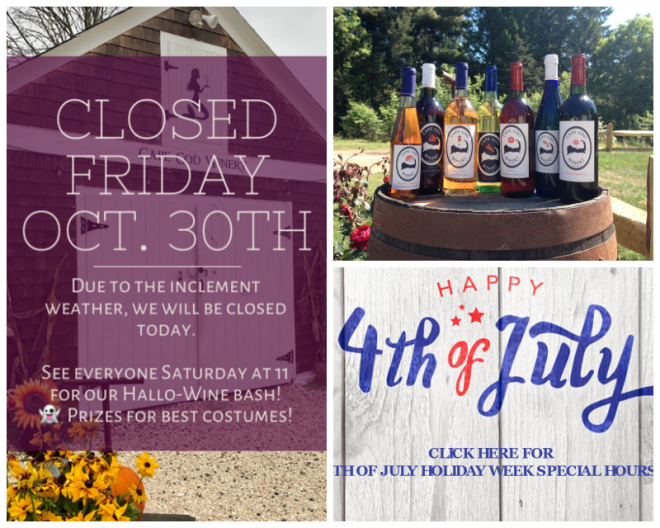 Review Cape Cod Winery image 56497