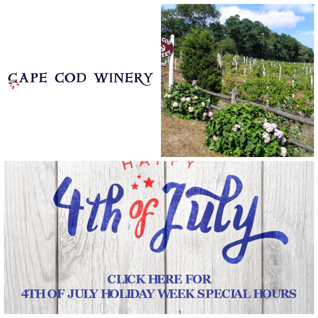 Review Cape Cod Winery image 56500