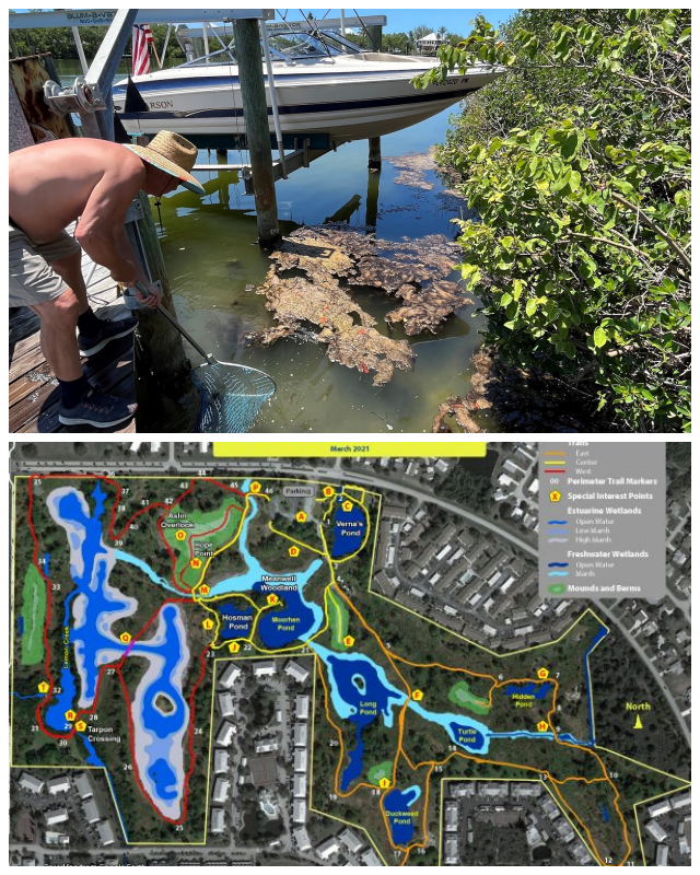 Review Lemon bay conservancy inc image 312281