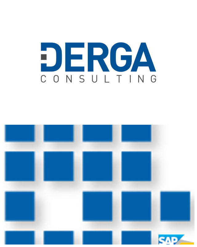 Review DERGA CONSULTING CS Srl image 115378