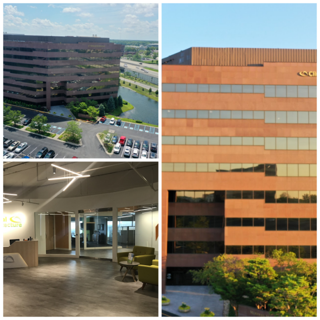 Review Clinical architecture image 254783