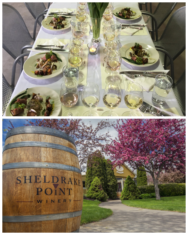 Review Sheldrake Point Winery image 18704