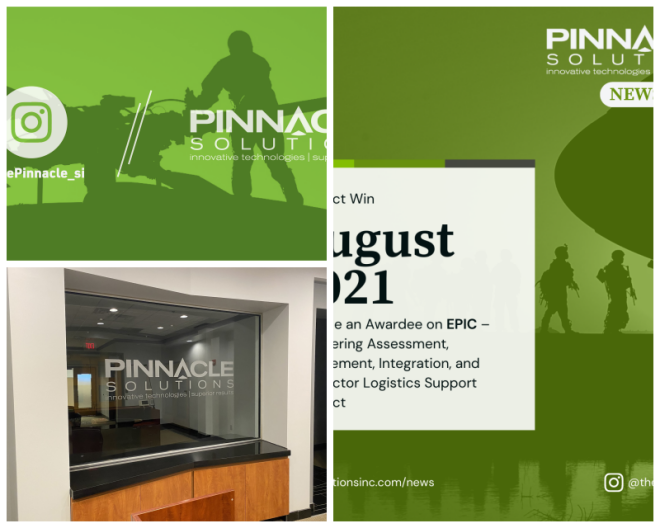 Review Pinnacle Solutions, Inc. image 170443